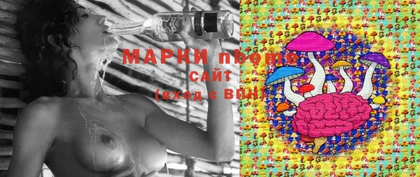 эйфоретик Краснослободск