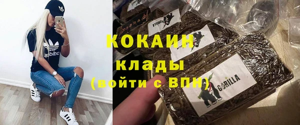 молекула духа Костерёво