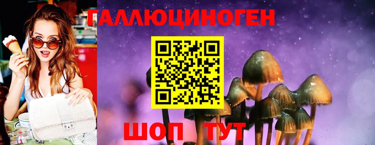 Псилоцибиновые грибы Psilocybe  Вход с VPN  Клинцы  Галлюциногенные грибы Cubensis 